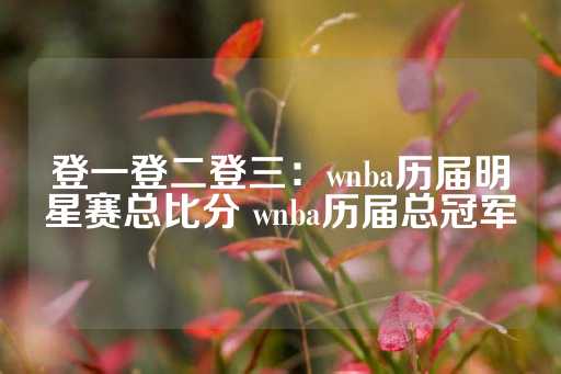 登一登二登三：wnba历届明星赛总比分 wnba历届总冠军