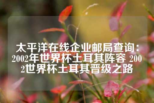 太平洋在线企业邮局查询：2002年世界杯土耳其阵容 2002世界杯土耳其晋级之路