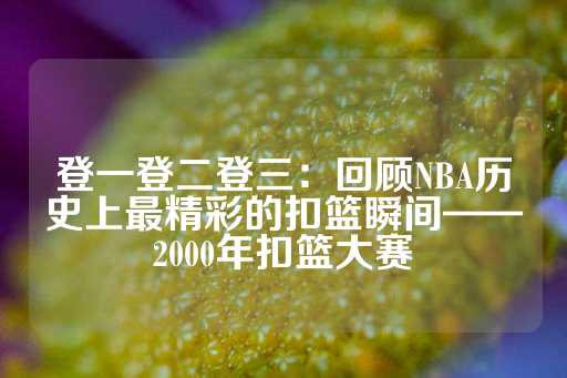 登一登二登三：回顾NBA历史上最精彩的扣篮瞬间——2000年扣篮大赛-第1张图片-皇冠信用盘出租