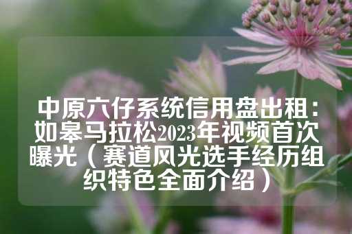 中原六仔系统信用盘出租：如皋马拉松2023年视频首次曝光（赛道风光选手经历组织特色全面介绍）