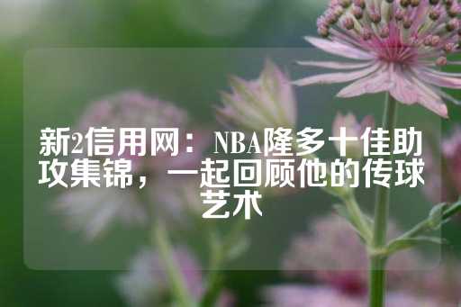 新2信用网：NBA隆多十佳助攻集锦，一起回顾他的传球艺术