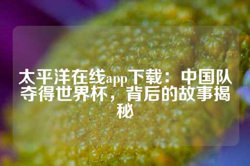 太平洋在线app下载：中国队夺得世界杯，背后的故事揭秘