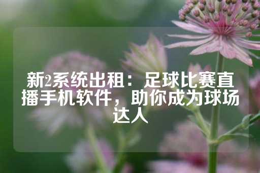 新2系统出租：足球比赛直播手机软件，助你成为球场达人-第1张图片-皇冠信用盘出租