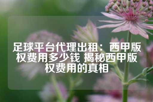 足球平台代理出租：西甲版权费用多少钱 揭秘西甲版权费用的真相-第1张图片-皇冠信用盘出租