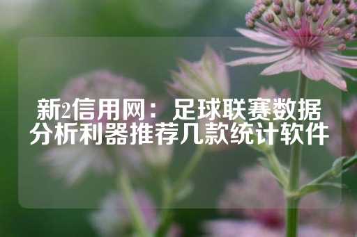 新2信用网：足球联赛数据分析利器推荐几款统计软件