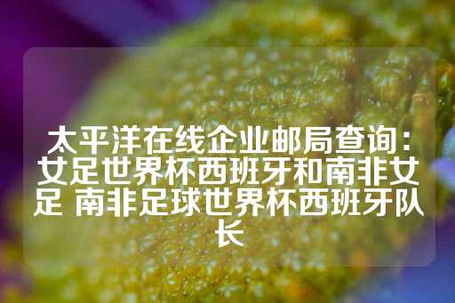 太平洋在线企业邮局查询：女足世界杯西班牙和南非女足 南非足球世界杯西班牙队长-第1张图片-皇冠信用盘出租