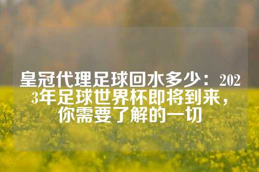 皇冠代理足球回水多少：2023年足球世界杯即将到来，你需要了解的一切-第1张图片-皇冠信用盘出租