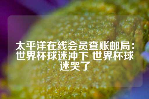 太平洋在线会员查账邮局：世界杯球迷冲下 世界杯球迷哭了