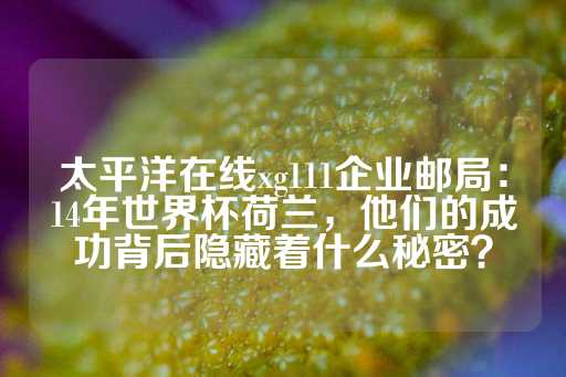 太平洋在线xg111企业邮局：14年世界杯荷兰，他们的成功背后隐藏着什么秘密？