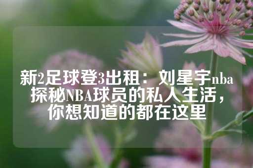 新2足球登3出租：刘星宇nba探秘NBA球员的私人生活，你想知道的都在这里-第1张图片-皇冠信用盘出租