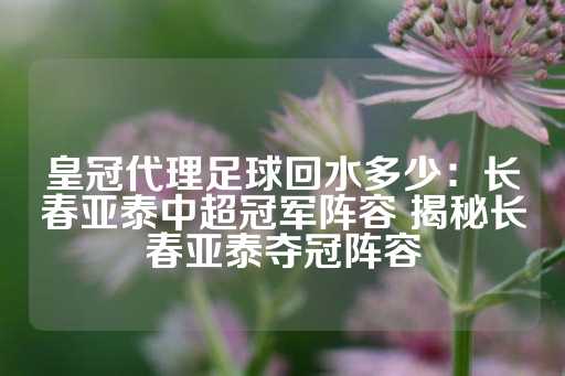 皇冠代理足球回水多少：长春亚泰中超冠军阵容 揭秘长春亚泰夺冠阵容