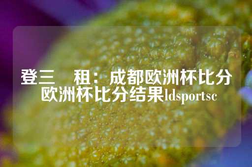 登三岀租：成都欧洲杯比分 欧洲杯比分结果ldsportsc-第1张图片-皇冠信用盘出租