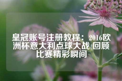 皇冠账号注册教程：2016欧洲杯意大利点球大战 回顾比赛精彩瞬间-第1张图片-皇冠信用盘出租