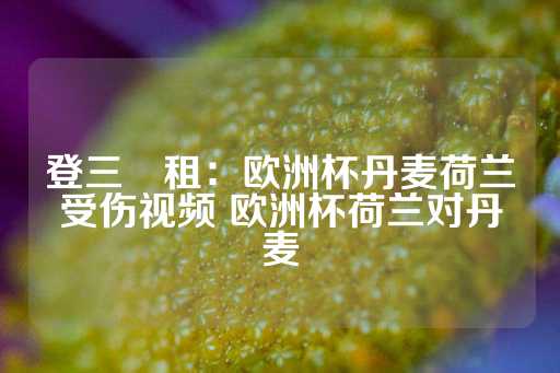 登三岀租：欧洲杯丹麦荷兰受伤视频 欧洲杯荷兰对丹麦-第1张图片-皇冠信用盘出租