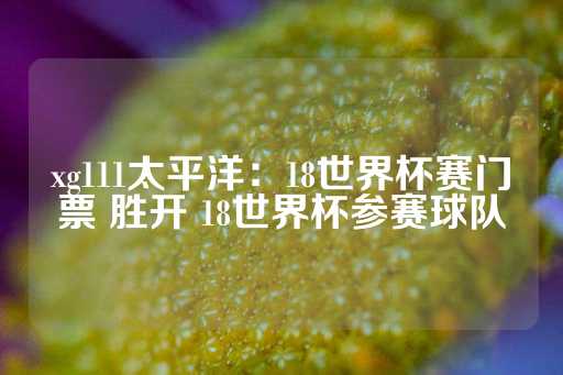 xg111太平洋：18世界杯赛门票 胜开 18世界杯参赛球队-第1张图片-皇冠信用盘出租