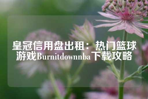 皇冠信用盘出租：热门篮球游戏Burnitdownnba下载攻略