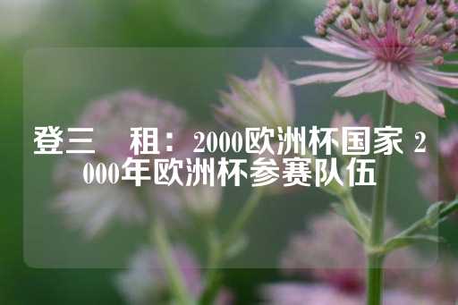 登三岀租：2000欧洲杯国家 2000年欧洲杯参赛队伍-第1张图片-皇冠信用盘出租