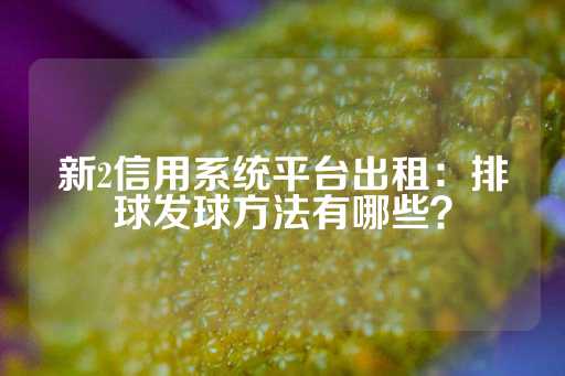 新2信用系统平台出租：排球发球方法有哪些？