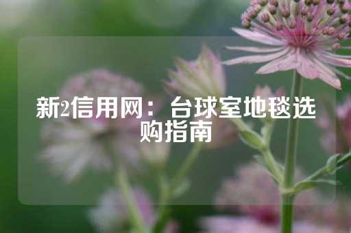 新2信用网：台球室地毯选购指南-第1张图片-皇冠信用盘出租