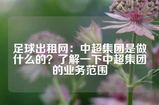 足球出租网：中超集团是做什么的？了解一下中超集团的业务范围-第1张图片-皇冠信用盘出租