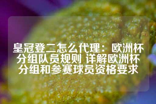 皇冠登二怎么代理：欧洲杯分组队员规则 详解欧洲杯分组和参赛球员资格要求-第1张图片-皇冠信用盘出租