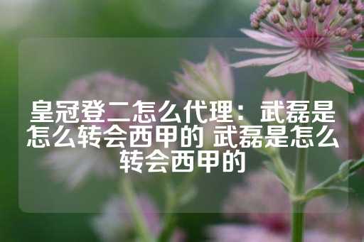 皇冠登二怎么代理：武磊是怎么转会西甲的 武磊是怎么转会西甲的-第1张图片-皇冠信用盘出租