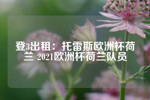 登3出租：托雷斯欧洲杯荷兰 2021欧洲杯荷兰队员