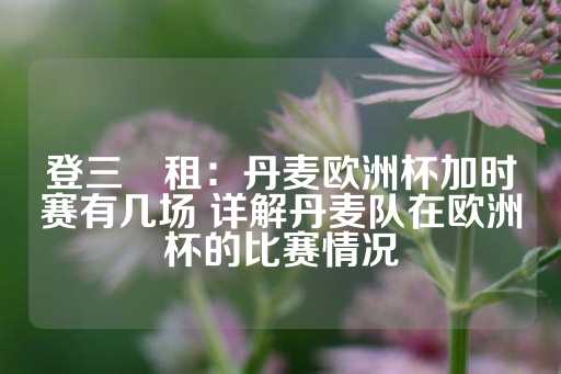 登三岀租：丹麦欧洲杯加时赛有几场 详解丹麦队在欧洲杯的比赛情况