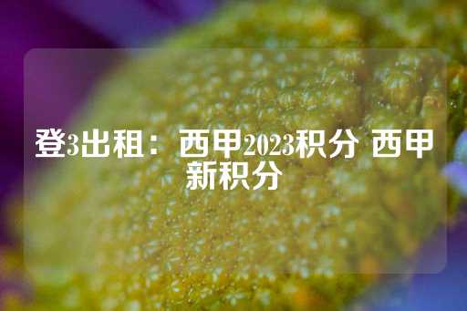 登3出租：西甲2023积分 西甲新积分