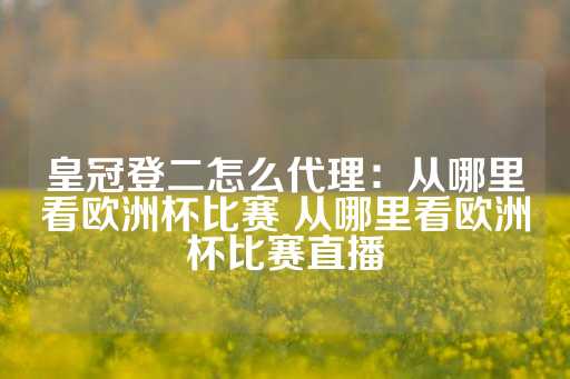 皇冠登二怎么代理：从哪里看欧洲杯比赛 从哪里看欧洲杯比赛直播-第1张图片-皇冠信用盘出租