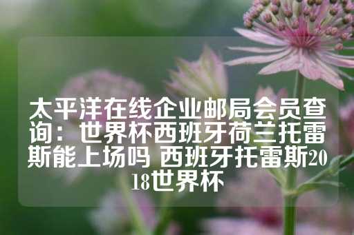 太平洋在线企业邮局会员查询：世界杯西班牙荷兰托雷斯能上场吗 西班牙托雷斯2018世界杯-第1张图片-皇冠信用盘出租