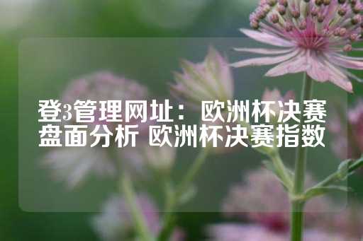 登3管理网址：欧洲杯决赛盘面分析 欧洲杯决赛指数-第1张图片-皇冠信用盘出租