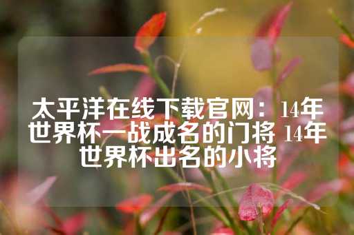 太平洋在线下载官网：14年世界杯一战成名的门将 14年世界杯出名的小将