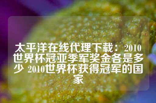 太平洋在线代理下载：2010世界杯冠亚季军奖金各是多少 2010世界杯获得冠军的国家-第1张图片-皇冠信用盘出租