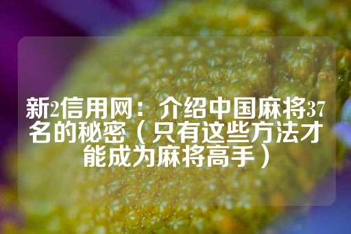 新2信用网：介绍中国麻将37名的秘密（只有这些方法才能成为麻将高手）-第1张图片-皇冠信用盘出租