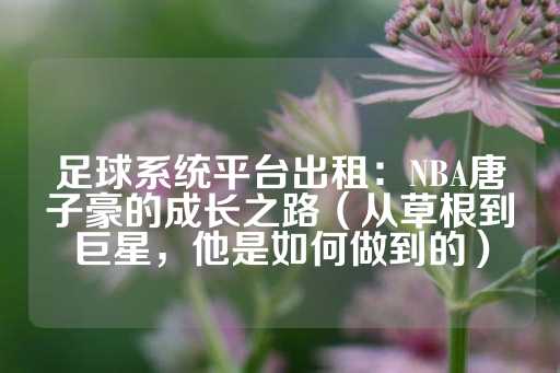 足球系统平台出租：NBA唐子豪的成长之路（从草根到巨星，他是如何做到的）-第1张图片-皇冠信用盘出租