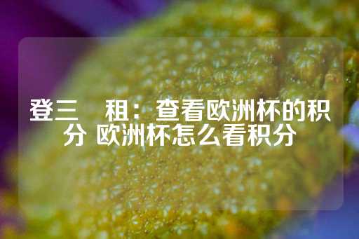 登三岀租：查看欧洲杯的积分 欧洲杯怎么看积分-第1张图片-皇冠信用盘出租