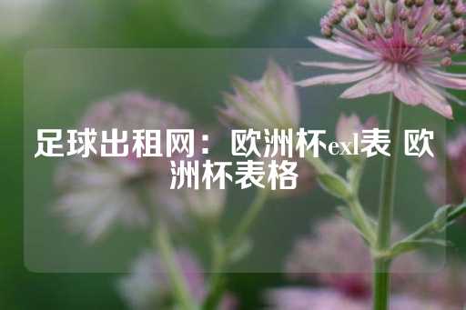 足球出租网：欧洲杯exl表 欧洲杯表格