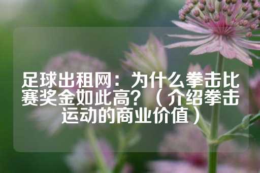 足球出租网：为什么拳击比赛奖金如此高？（介绍拳击运动的商业价值）