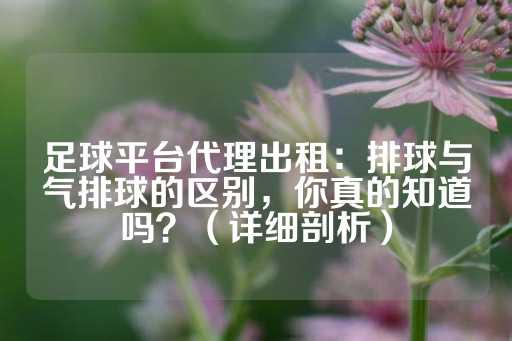 足球平台代理出租：排球与气排球的区别，你真的知道吗？（详细剖析）-第1张图片-皇冠信用盘出租