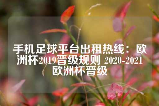 手机足球平台出租热线：欧洲杯2019晋级规则 2020-2021欧洲杯晋级