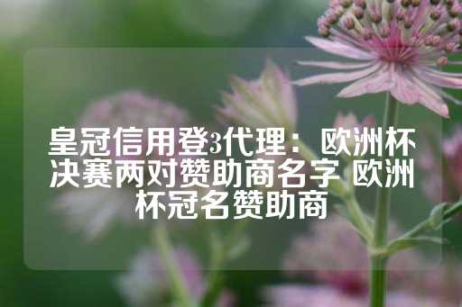 皇冠信用登3代理：欧洲杯决赛两对赞助商名字 欧洲杯冠名赞助商-第1张图片-皇冠信用盘出租