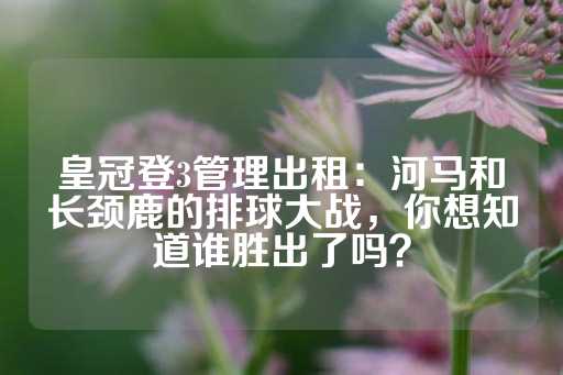 皇冠登3管理出租：河马和长颈鹿的排球大战，你想知道谁胜出了吗？