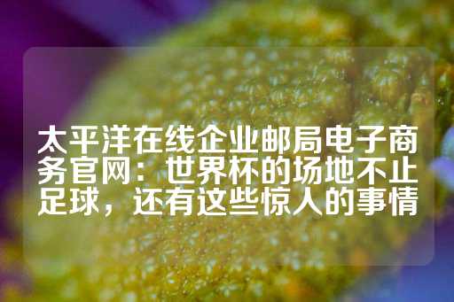 太平洋在线企业邮局电子商务官网：世界杯的场地不止足球，还有这些惊人的事情