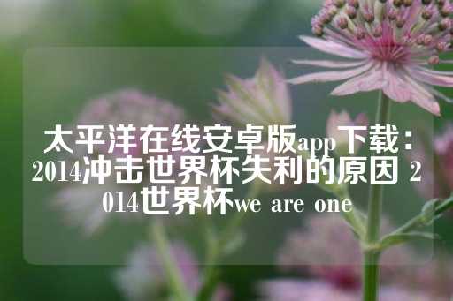 太平洋在线安卓版app下载：2014冲击世界杯失利的原因 2014世界杯we are one-第1张图片-皇冠信用盘出租