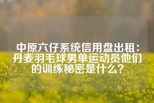 中原六仔系统信用盘出租：丹麦羽毛球男单运动员他们的训练秘密是什么？