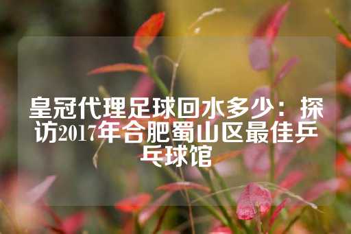 皇冠代理足球回水多少：探访2017年合肥蜀山区最佳乒乓球馆-第1张图片-皇冠信用盘出租