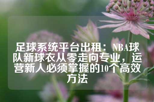 足球系统平台出租：NBA球队新球衣从零走向专业，运营新人必须掌握的10个高效方法