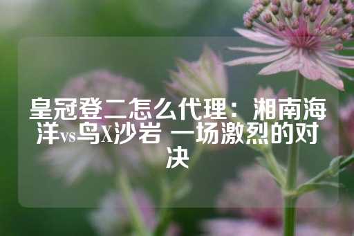 皇冠登二怎么代理：湘南海洋vs鸟X沙岩 一场激烈的对决