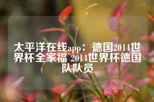 太平洋在线app：德国2014世界杯全家福 2014世界杯德国队队员-第1张图片-皇冠信用盘出租